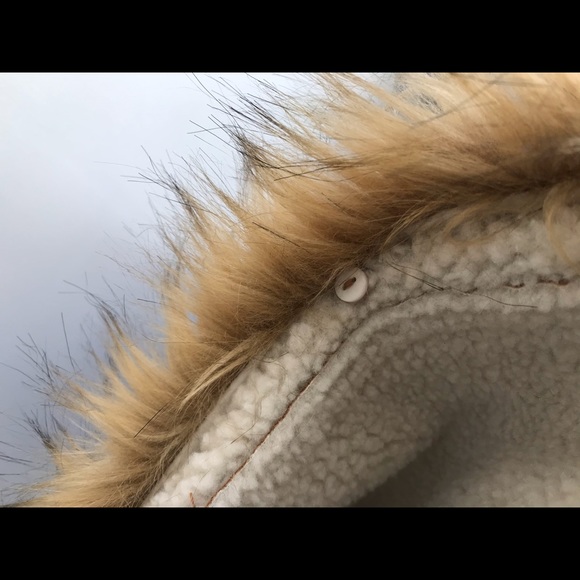 Zara Faux Suede and Shearling Coat - Picture 8 of 8